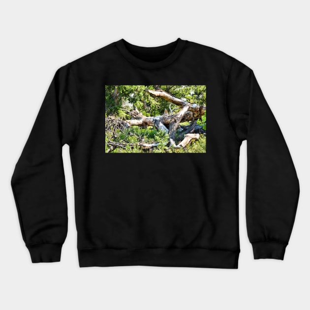 Deadwood on Cherry Creek Trail 1 Crewneck Sweatshirt by bobmeyers